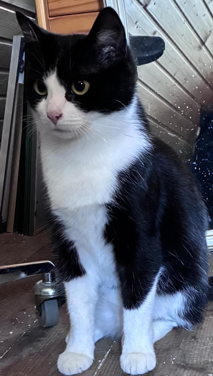 2e857c56-077c-41ea-8189-3a192278ae89