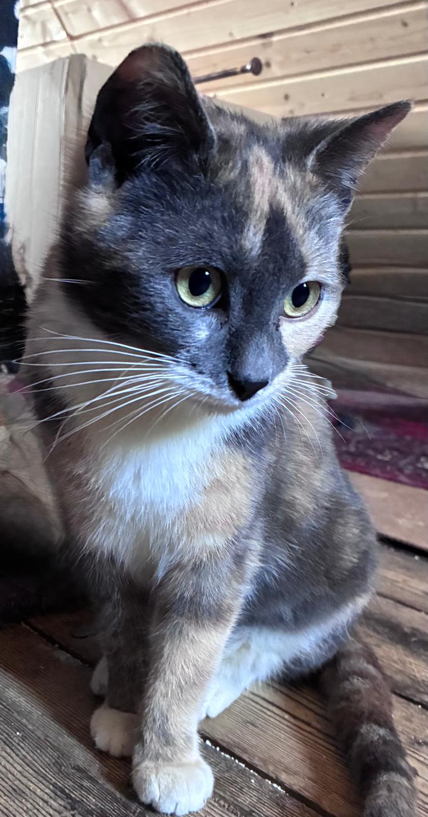 66e9d2f2-e6a6-44c0-a2a8-762d42c4d582