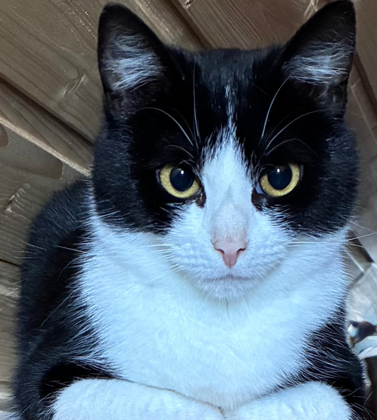 c4392f0a-0dd5-471c-be19-6376321c064f