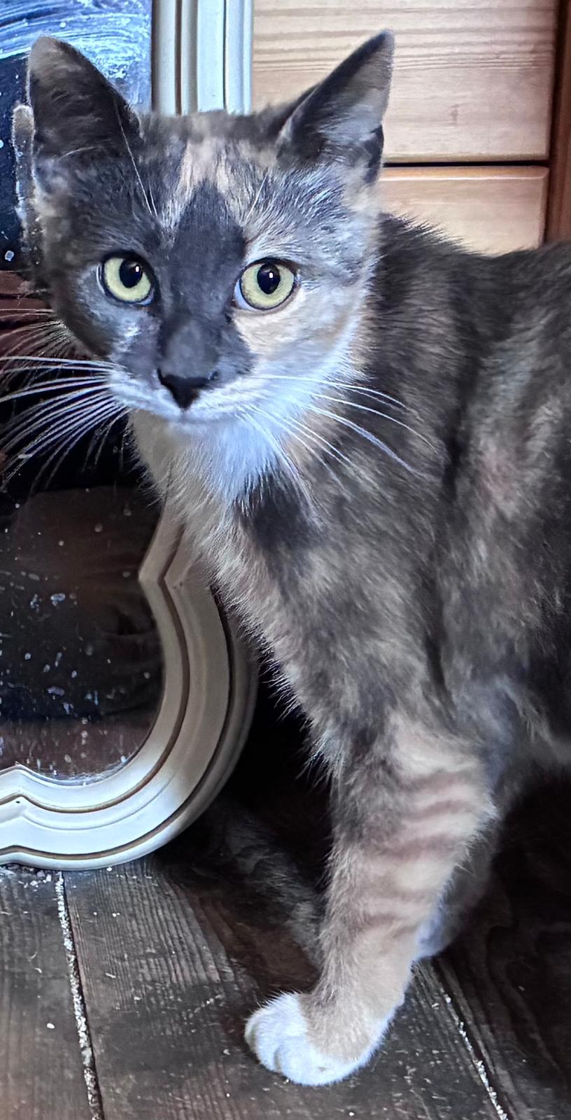 d1e56f8c-b2c0-4ed9-8d53-c49368720cf0