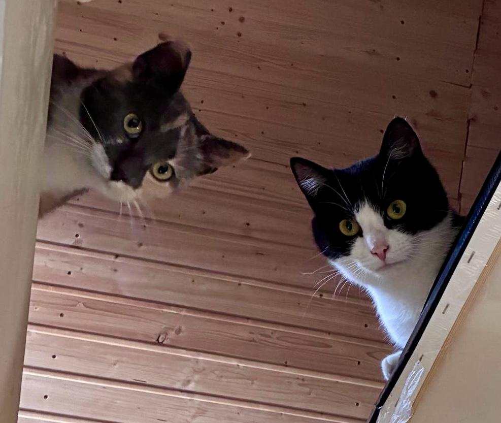 PHOTO-2025-06-03-19-20-42