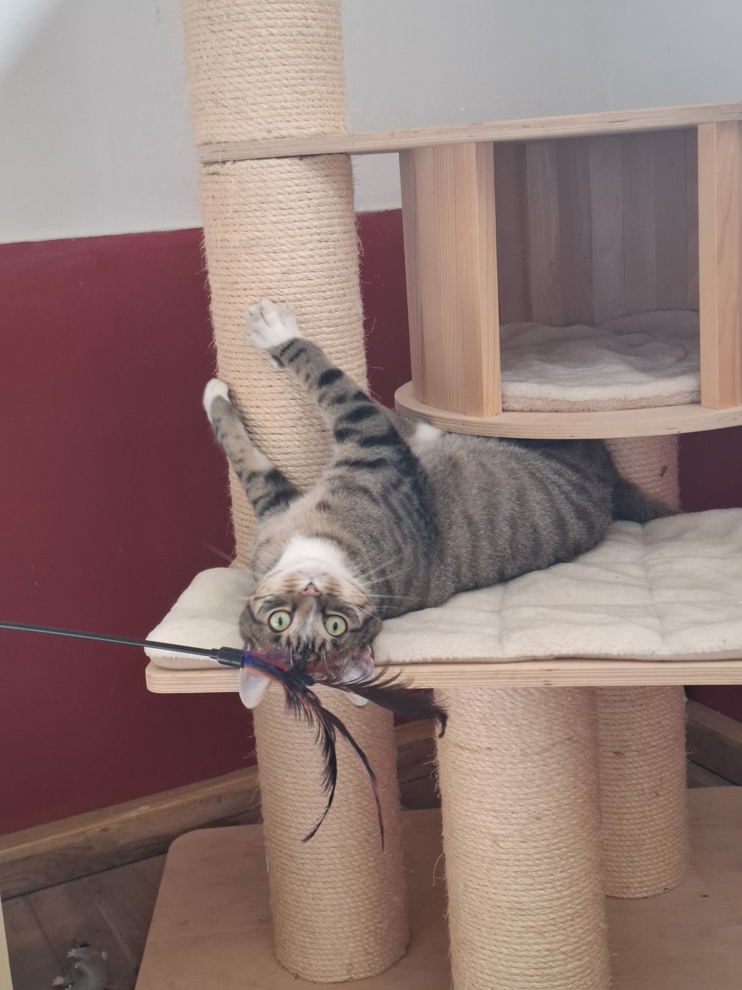 20250801_100631_resized