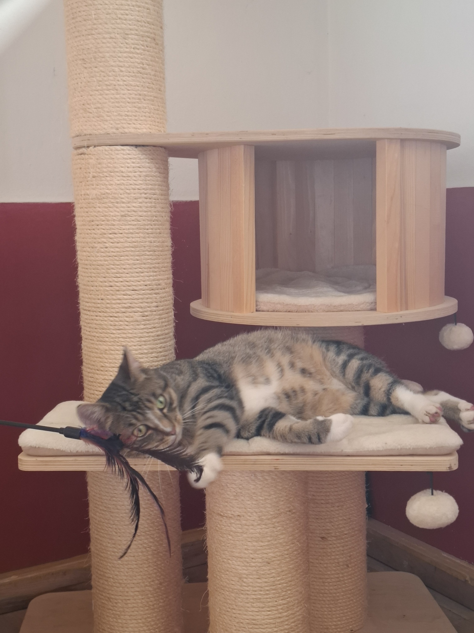 20250801_100707_resized