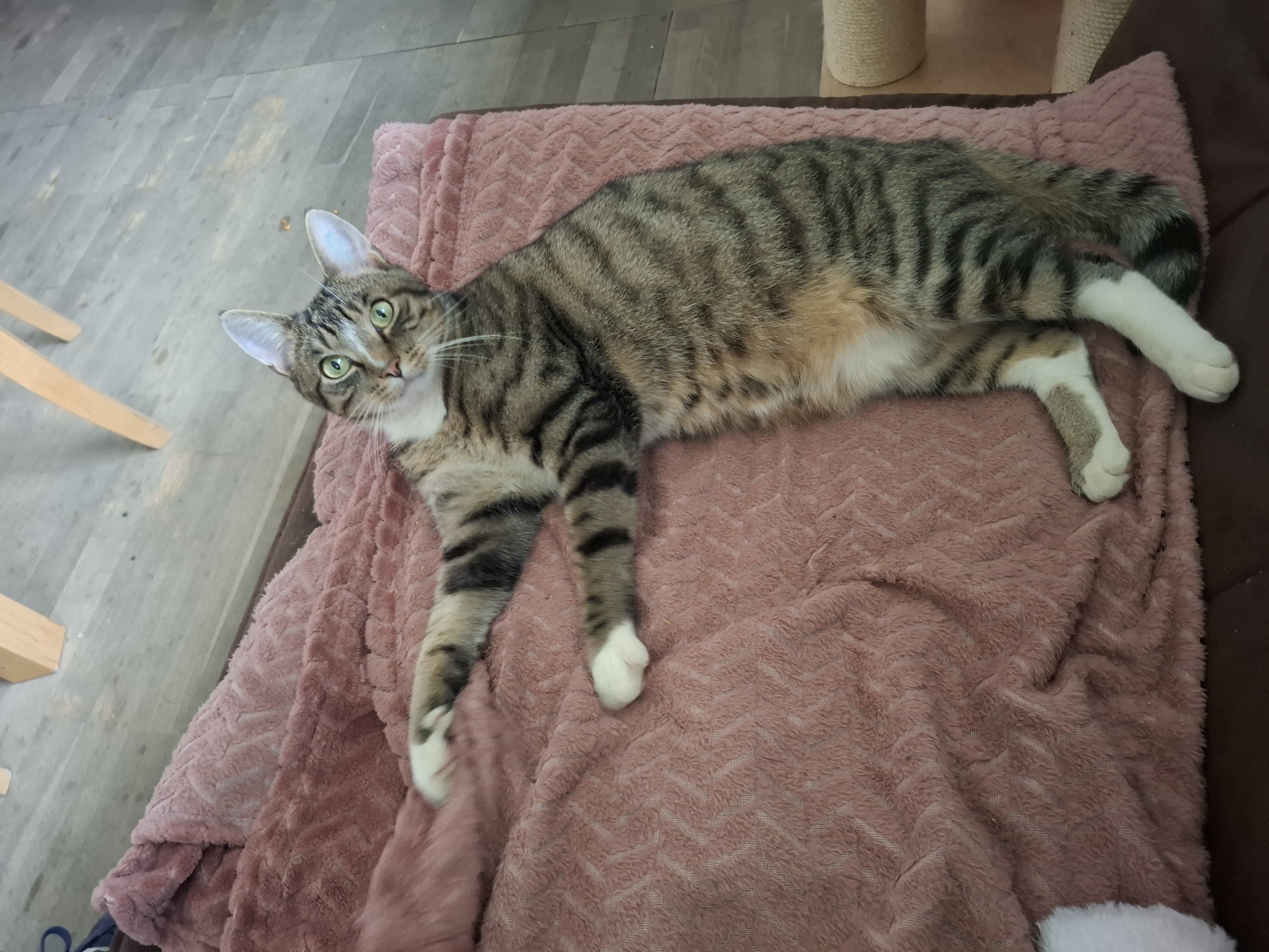 20250823_133305_resized