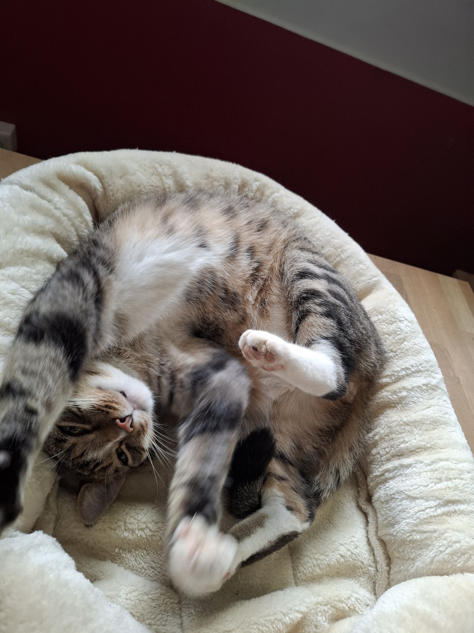 20250823_155239_resized