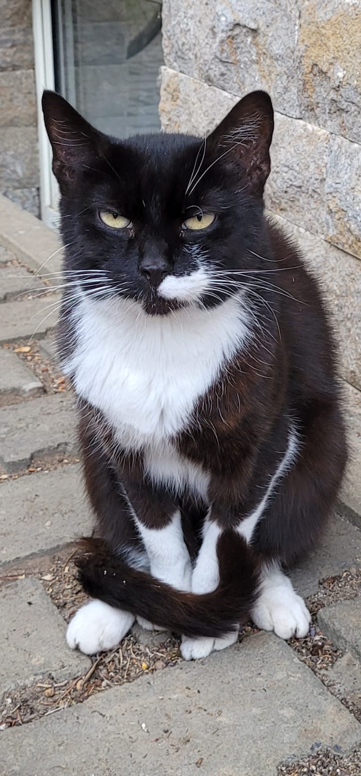 2432d82d-023e-4227-9990-80b2a1a87e01