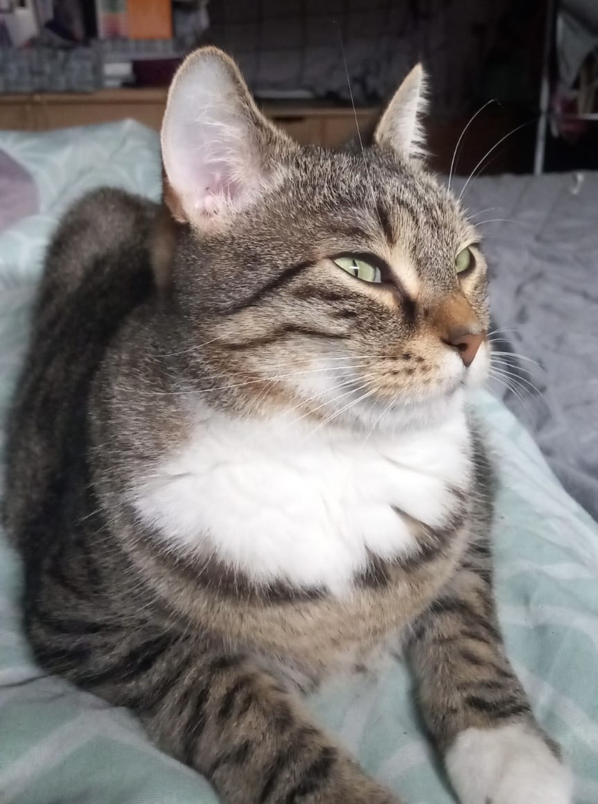 3274e5ad-a33c-4f7f-b489-5a7deab4ca18