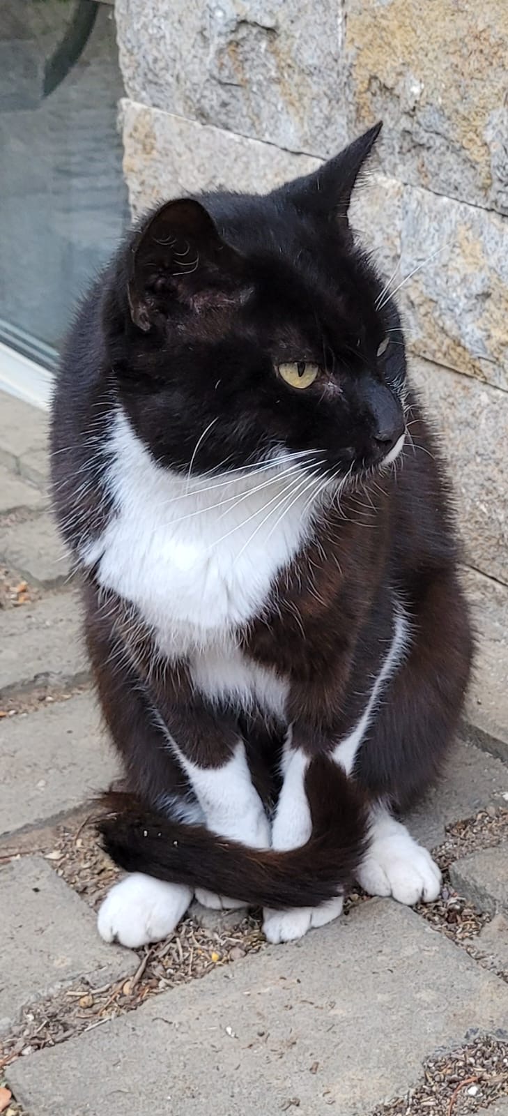 890a9d1f-520b-4128-b52d-1930217a732d