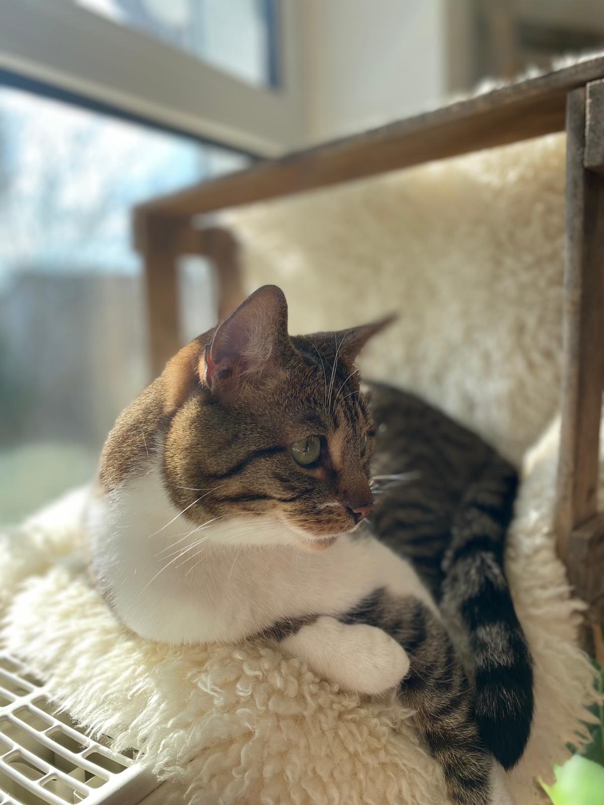 PHOTO-2025-08-24-10-29-00