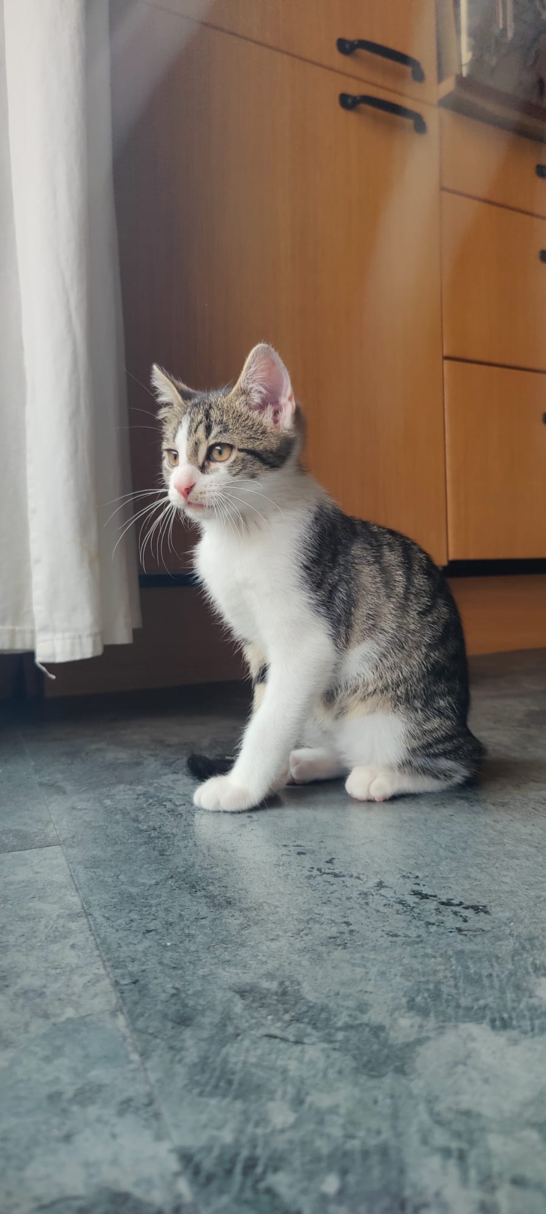 Screenshot_20250805_104816_WhatsApp