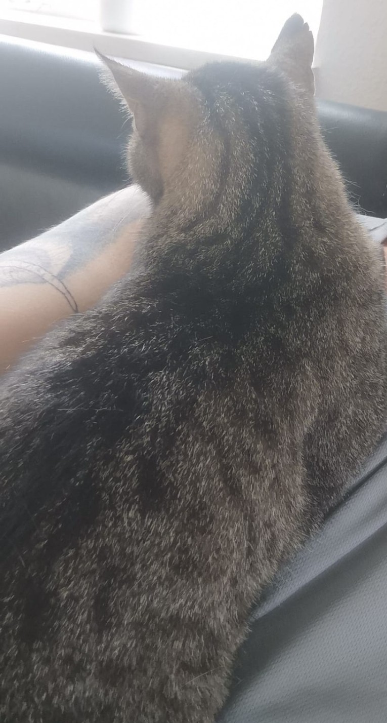 Screenshot_20250813_142419_WhatsApp - Annette Wemhoff