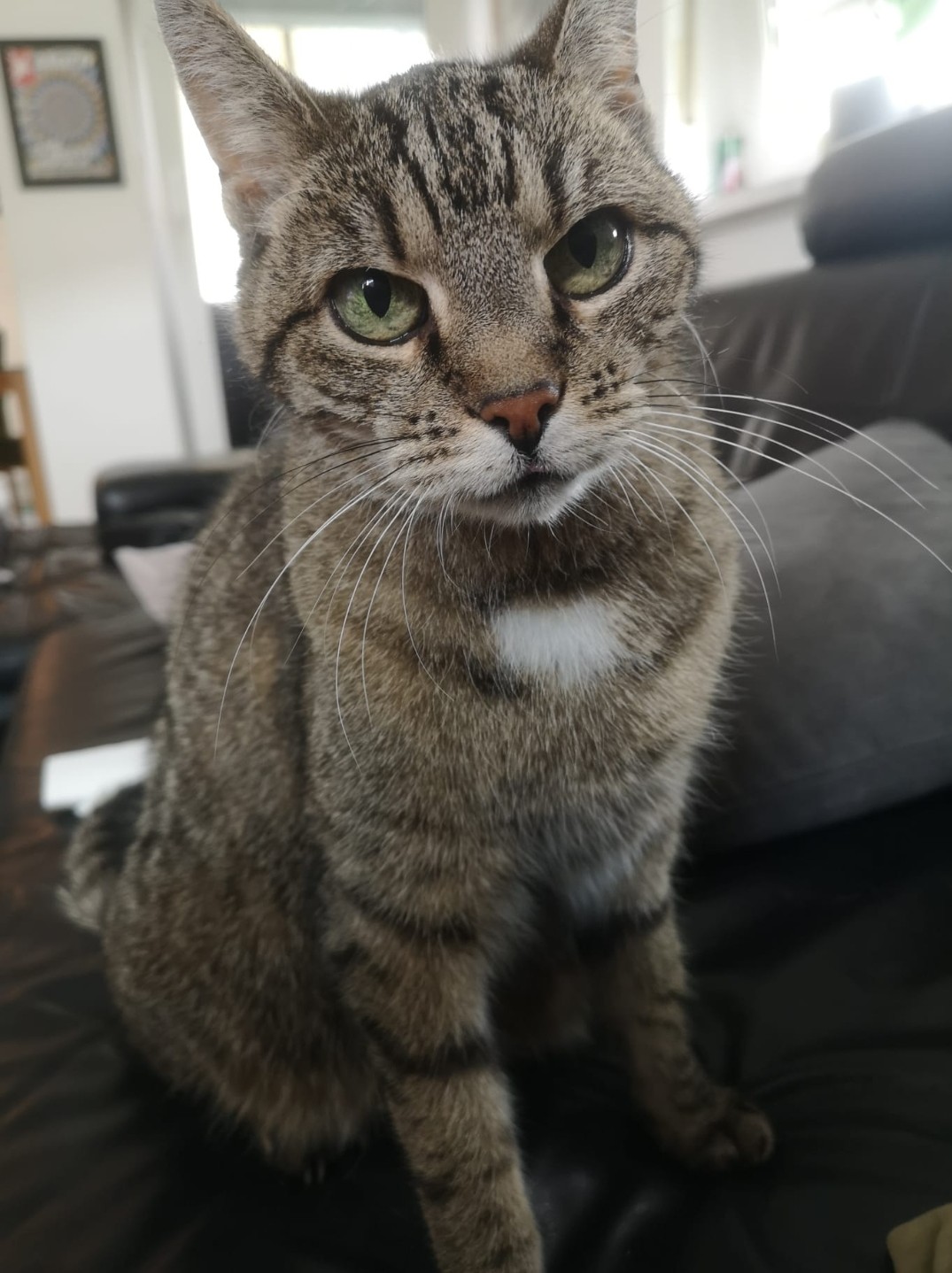 Screenshot_20250813_142431_WhatsApp - Annette Wemhoff