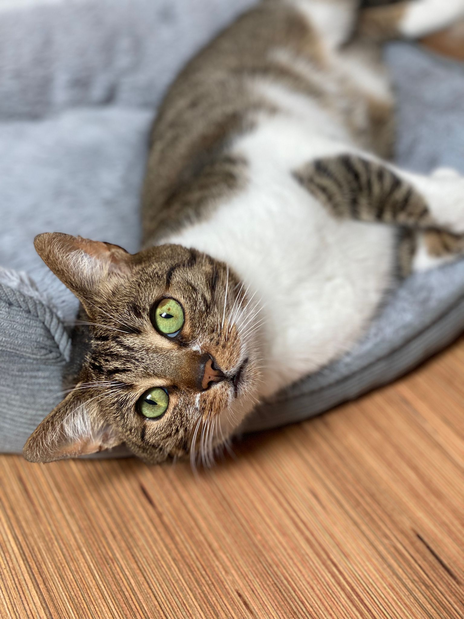 WhatsApp Image 2025-07-30 at 11.34.33 (1)