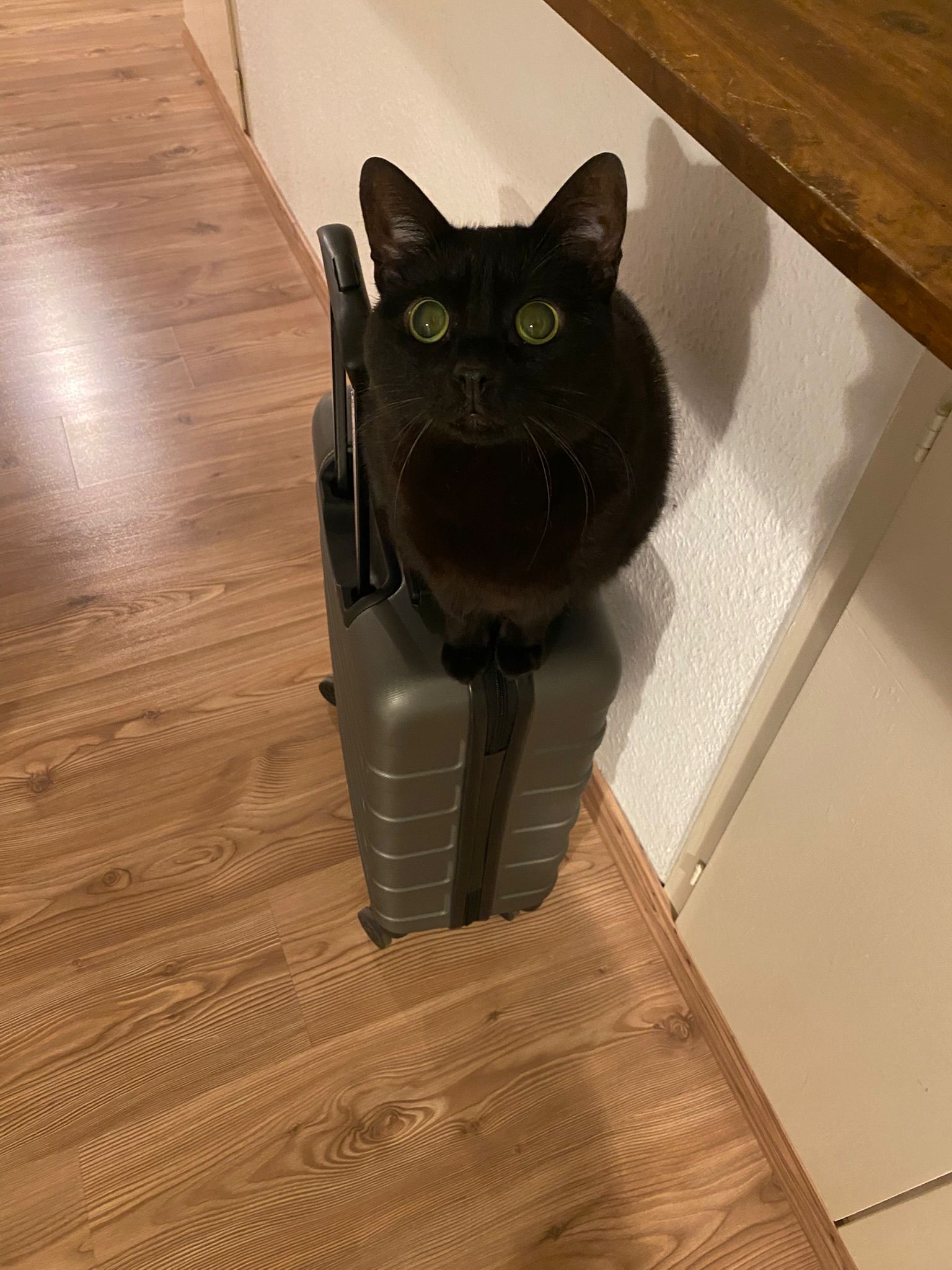 WhatsApp Image 2025-07-30 at 11.34.33 (2)