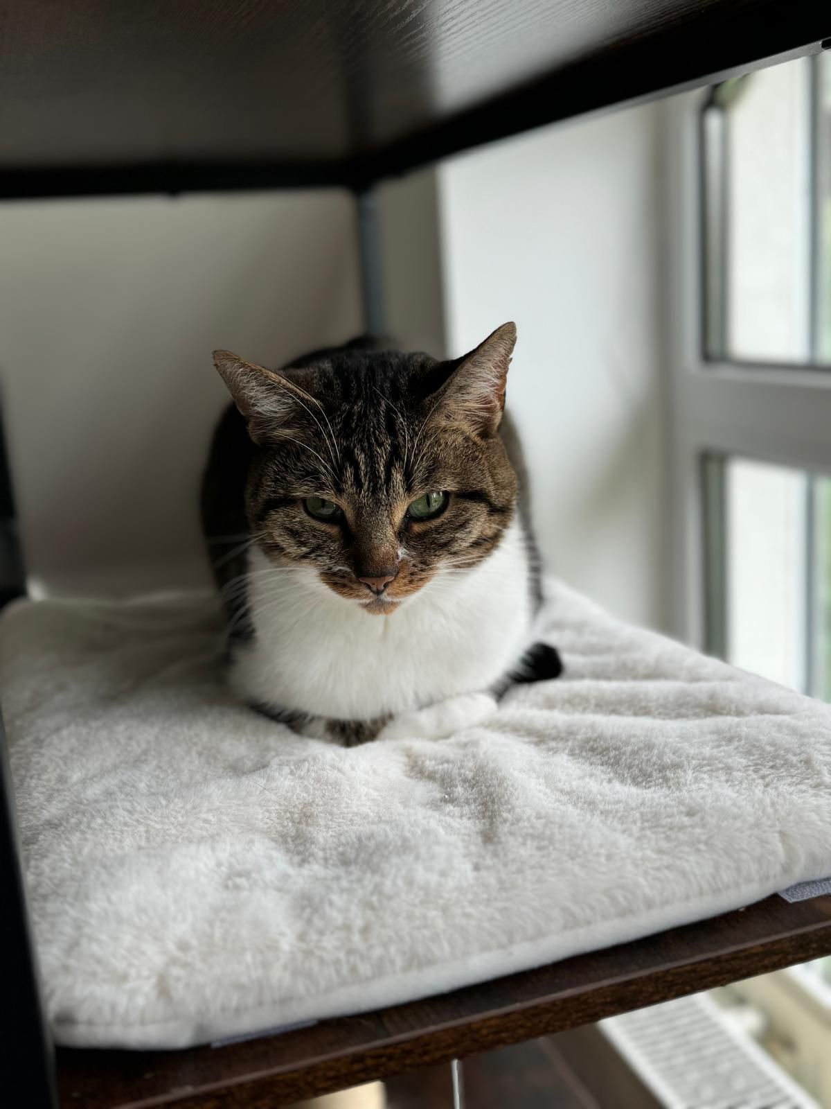 WhatsApp Image 2025-07-30 at 11.34.34 (3)