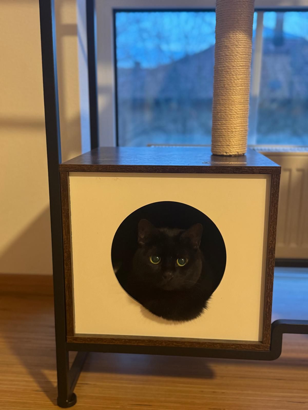 WhatsApp Image 2025-07-30 at 11.34.35 (1)