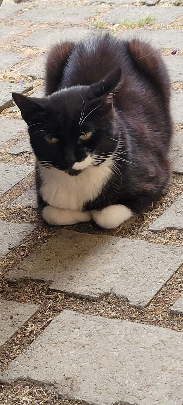 a8b48b0d-2d89-495e-afbc-43bf18c72dbb