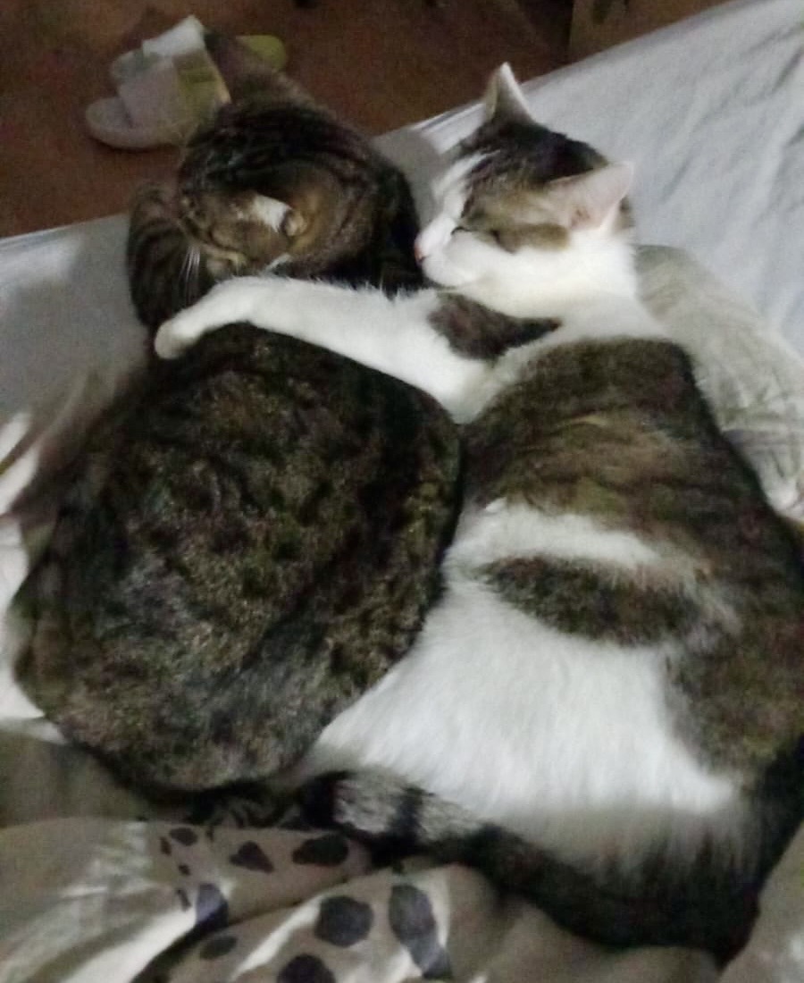 b9363e6d-b2fb-40d5-a2c8-ee21918e886d