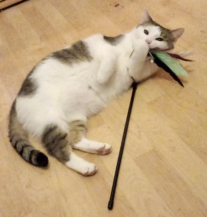 de718510-d9b3-4b21-b117-e4e102643a99