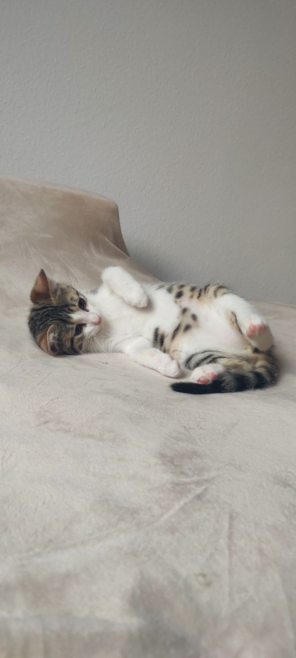 photo_4_2025-08-08_17-15-02