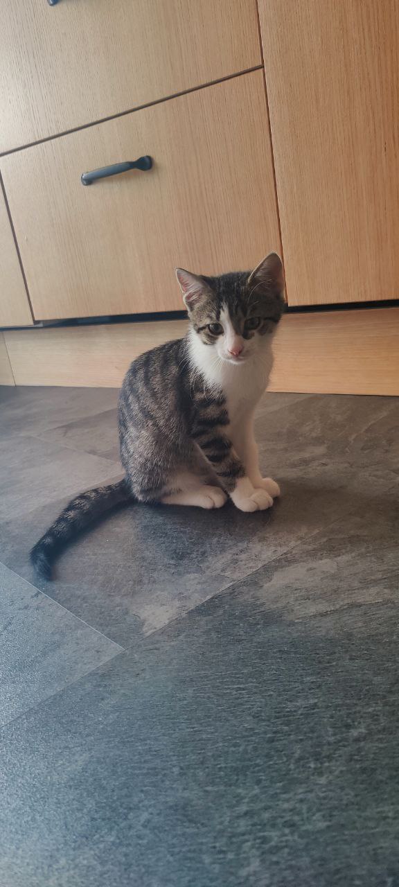 photo_6_2025-08-08_17-15-02