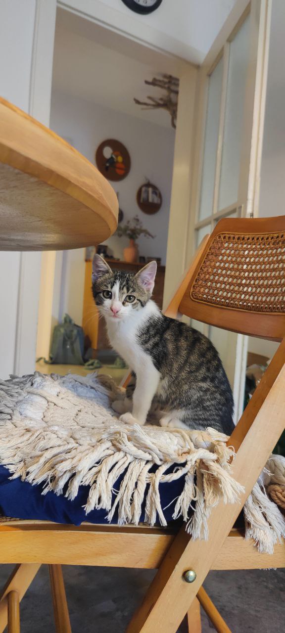 photo_7_2025-08-08_17-15-02