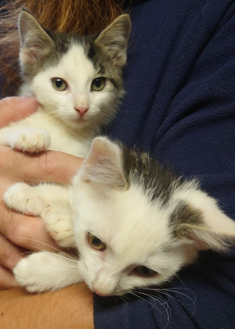 90cb97f6-c323-46ab-a1fe-8435704a1ce9