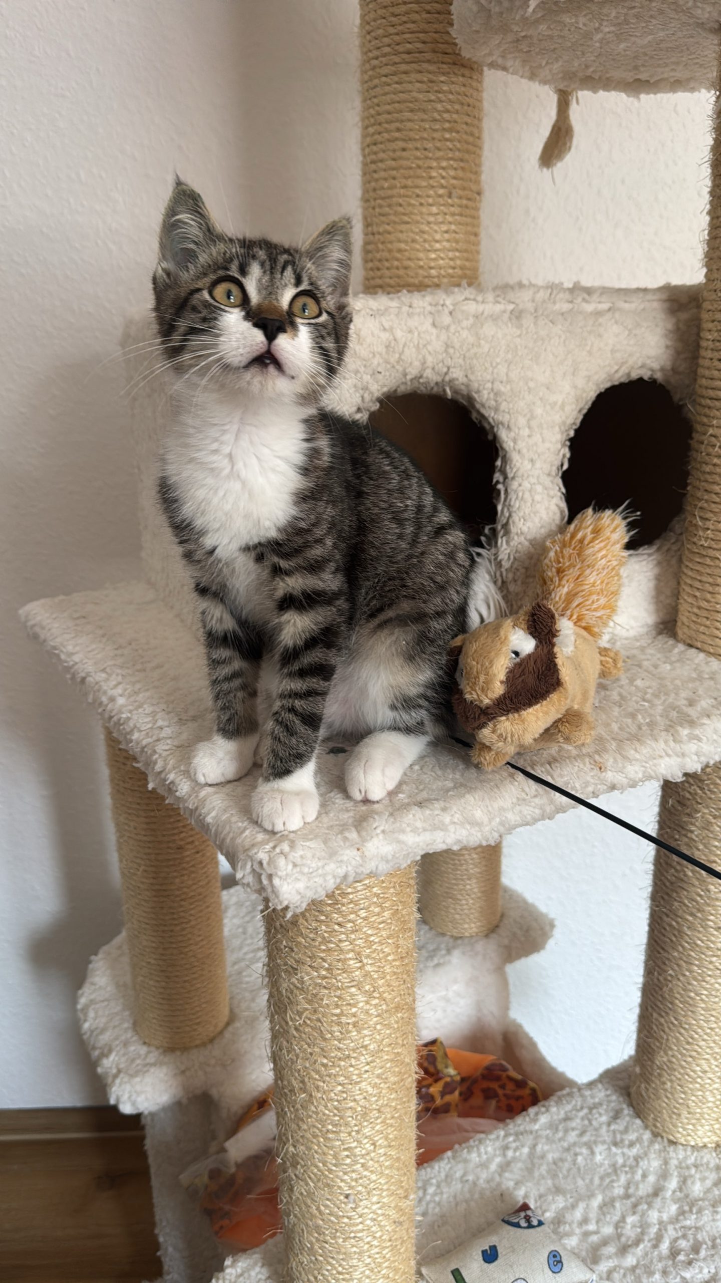 D854F53C-2D40-4093-A4F6-160723FE9E3C