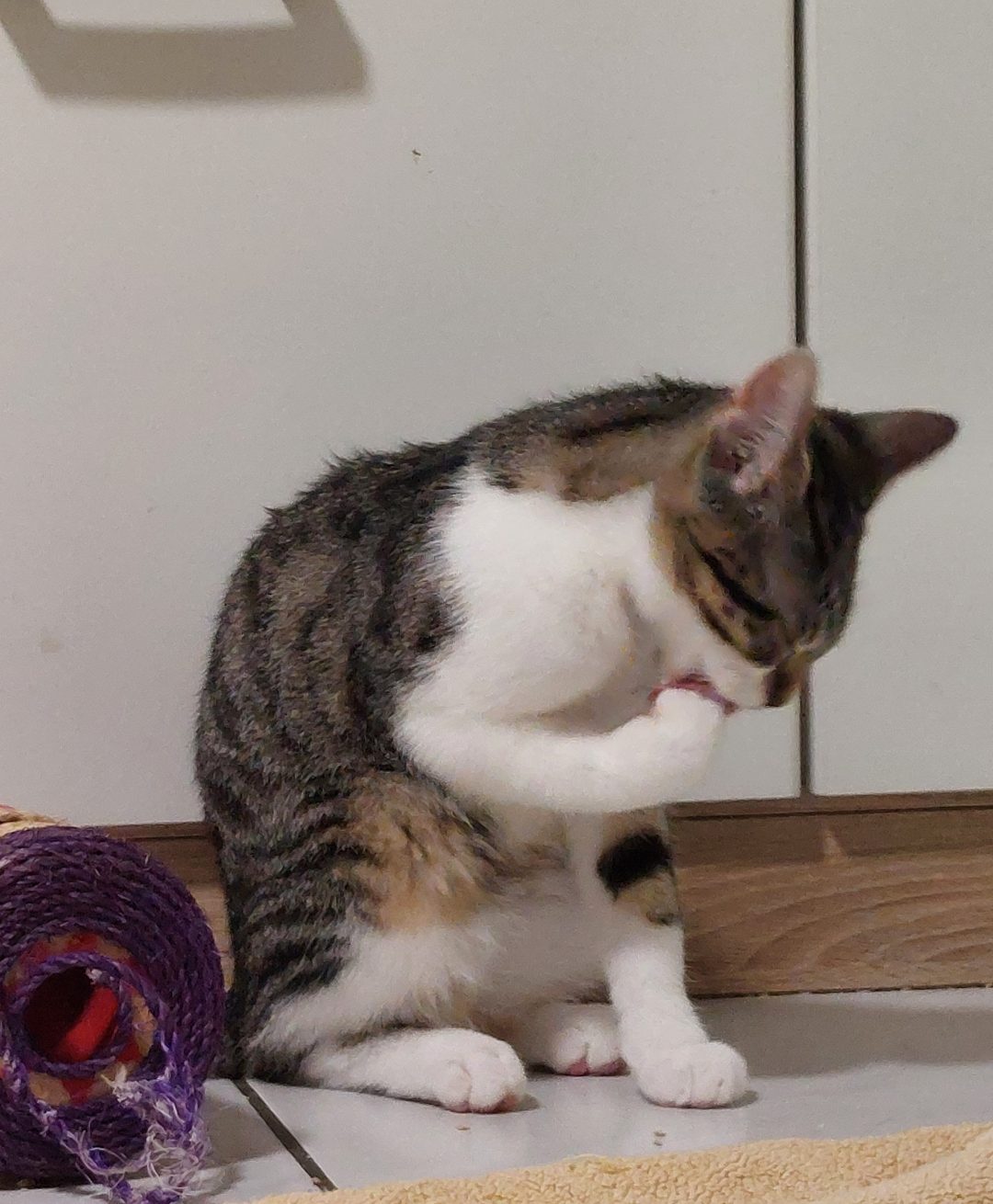 Screenshot_20250917_142626_Gallery