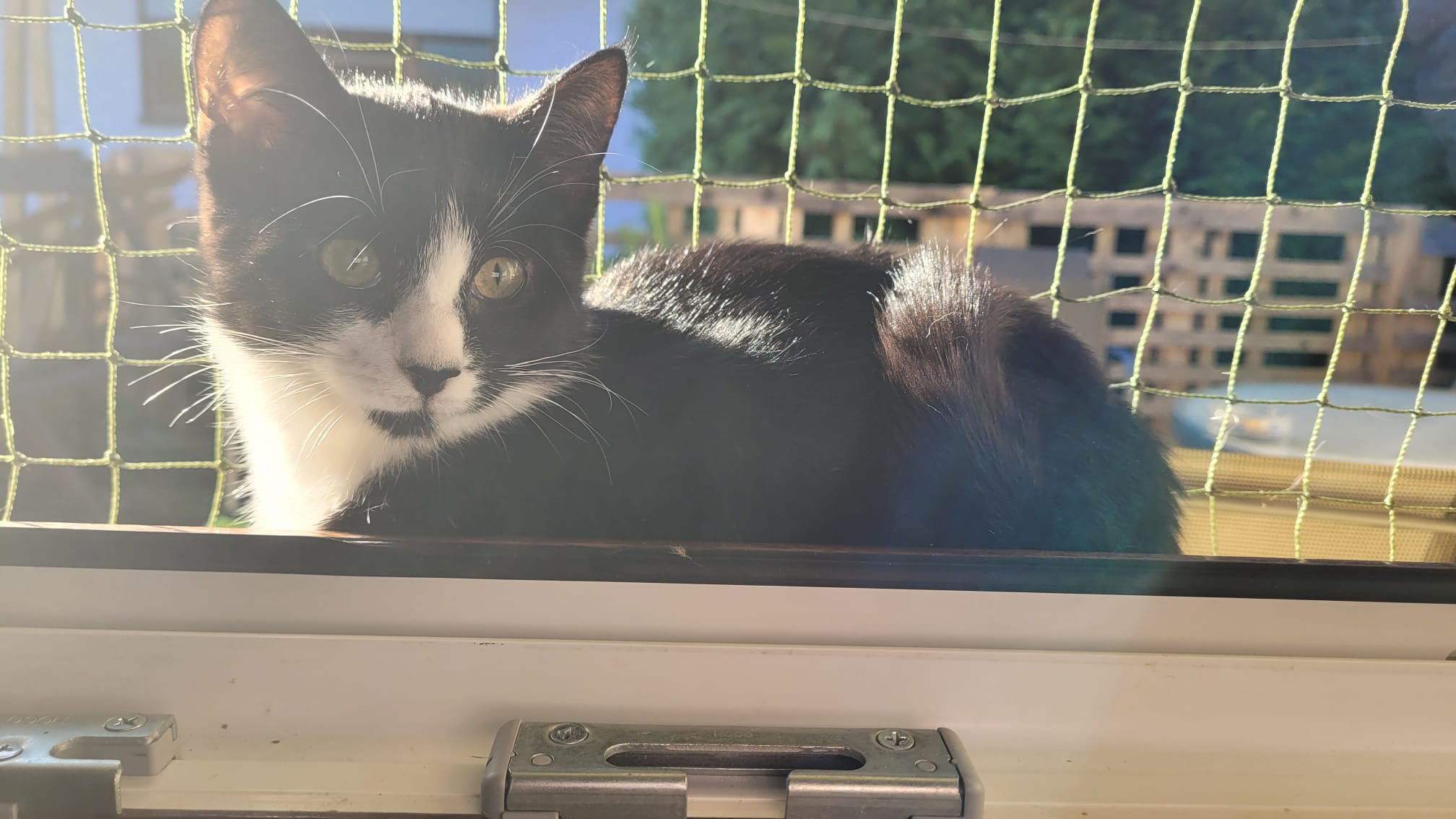 WhatsApp Image 2025-09-19 at 09.24.53