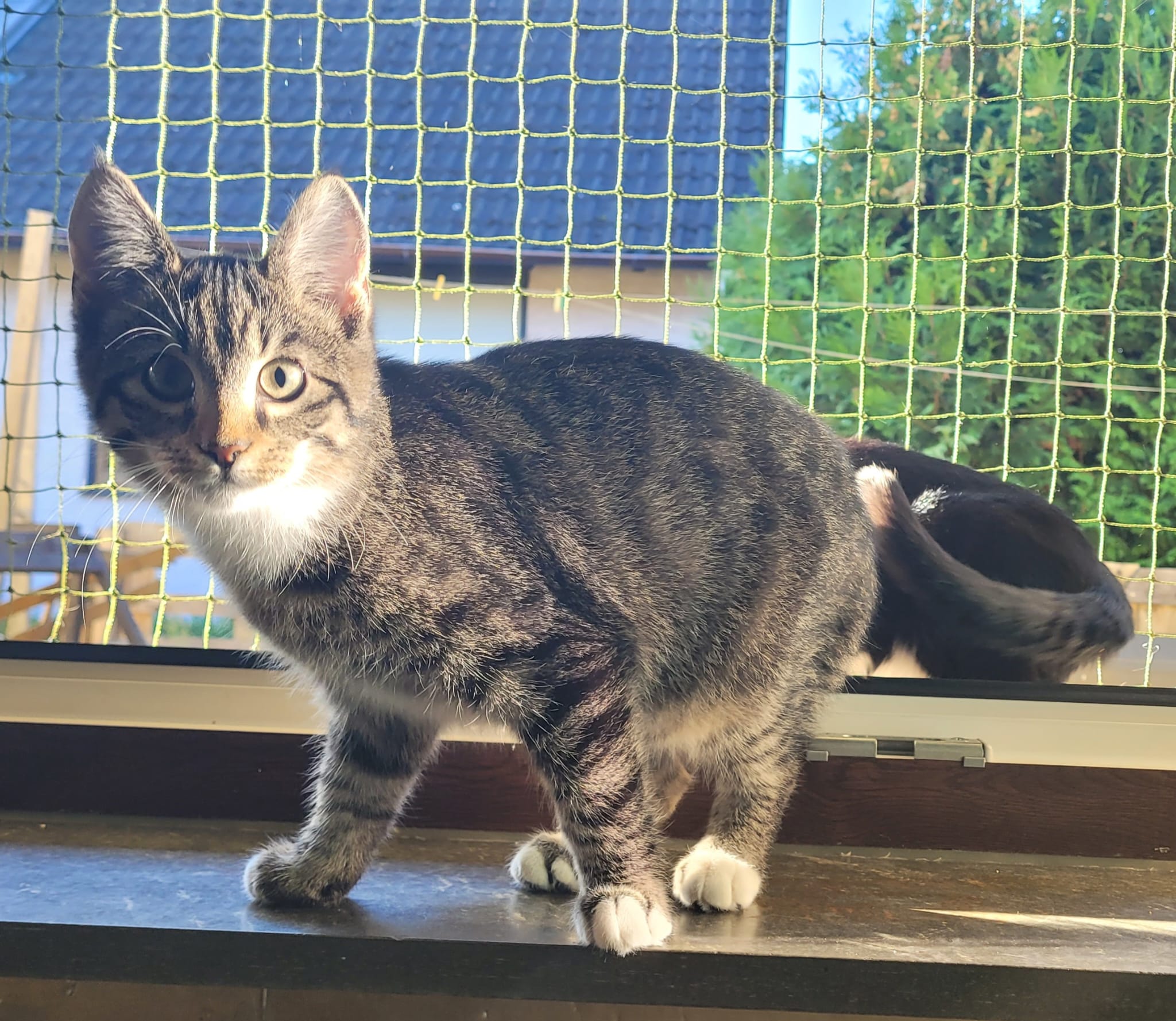 WhatsApp Image 2025-09-19 at 09.24.53(1)