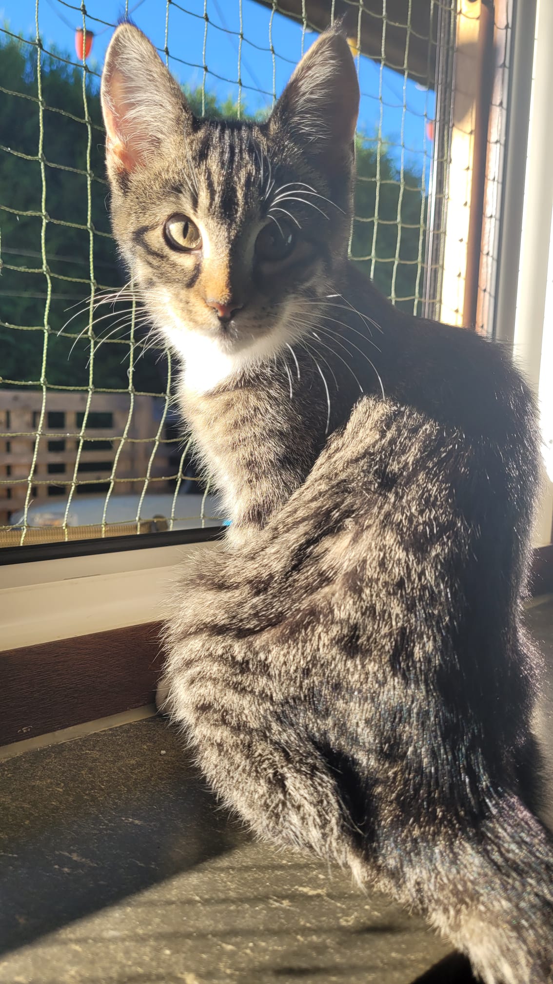 WhatsApp Image 2025-09-19 at 09.24.54