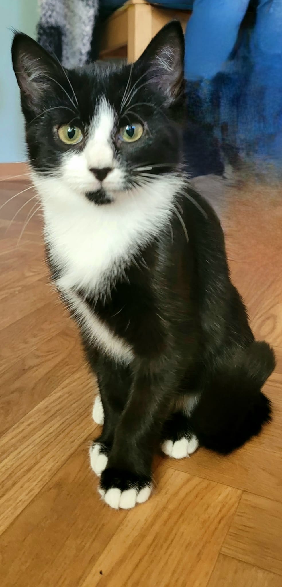 WhatsApp Image 2025-09-19 at 09.24.54(1)