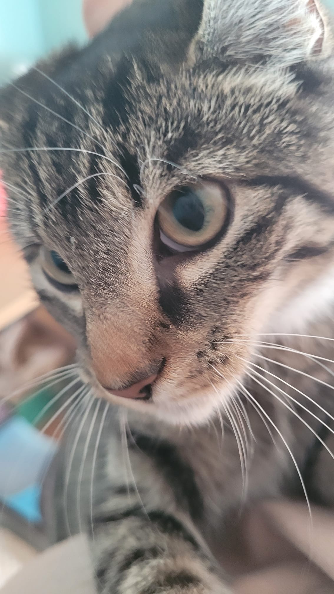 WhatsApp Image 2025-09-19 at 09.24.54(2)