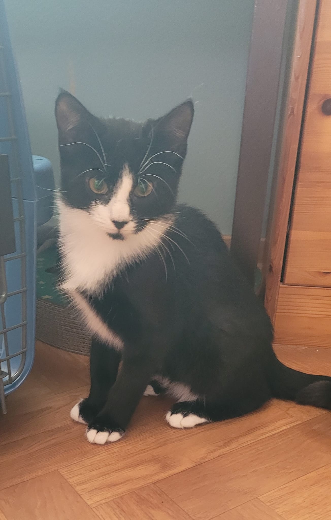 WhatsApp Image 2025-09-19 at 09.24.54(3)