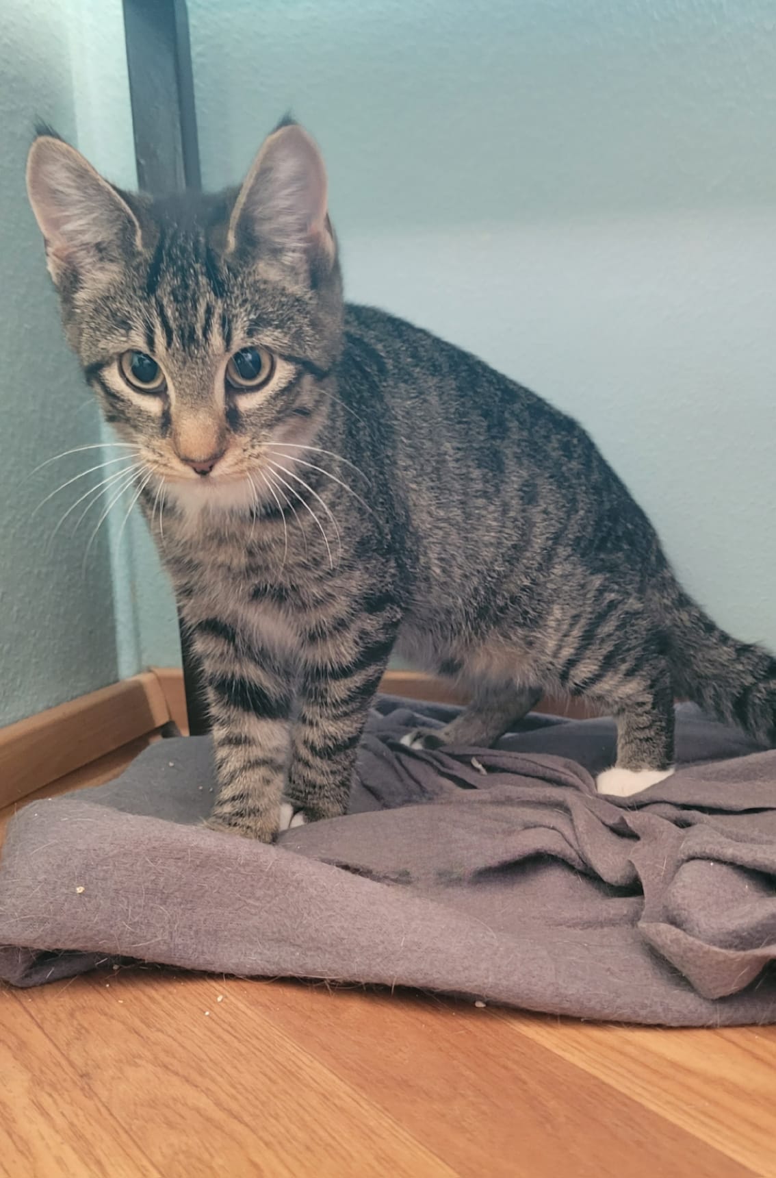 WhatsApp Image 2025-09-19 at 09.24.54(4)