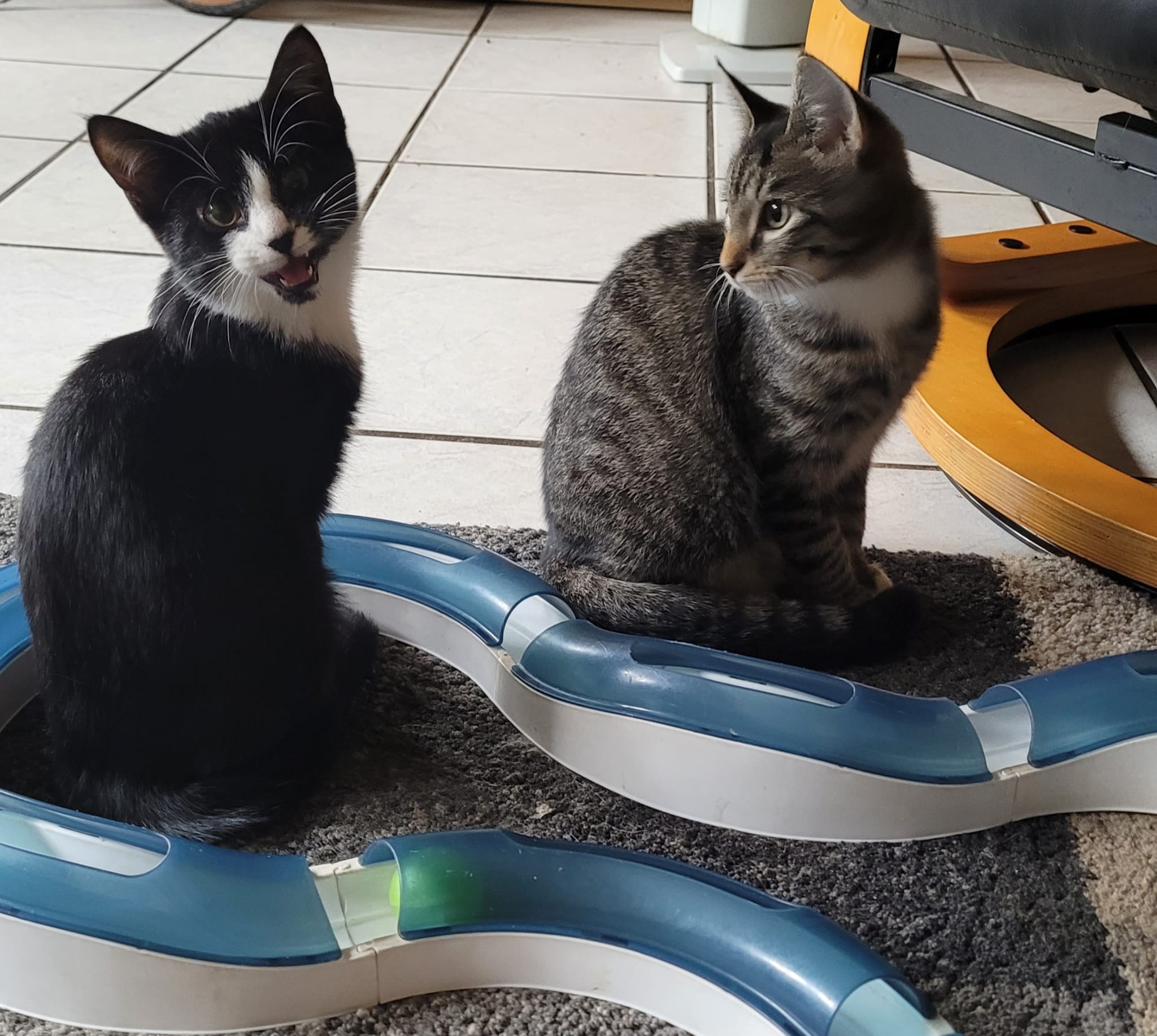 WhatsApp Image 2025-09-19 at 09.24.55