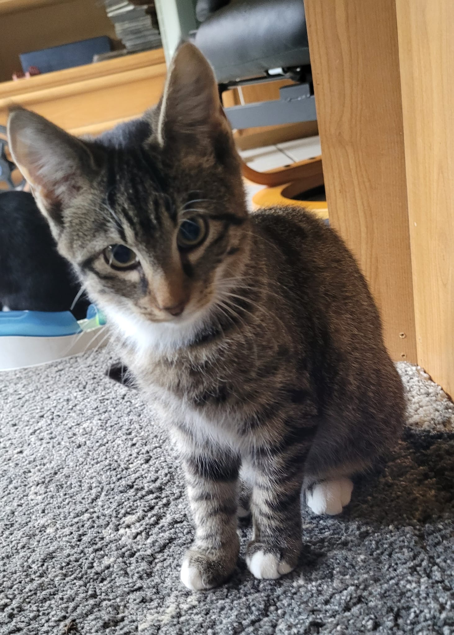 WhatsApp Image 2025-09-19 at 09.24.55(1)