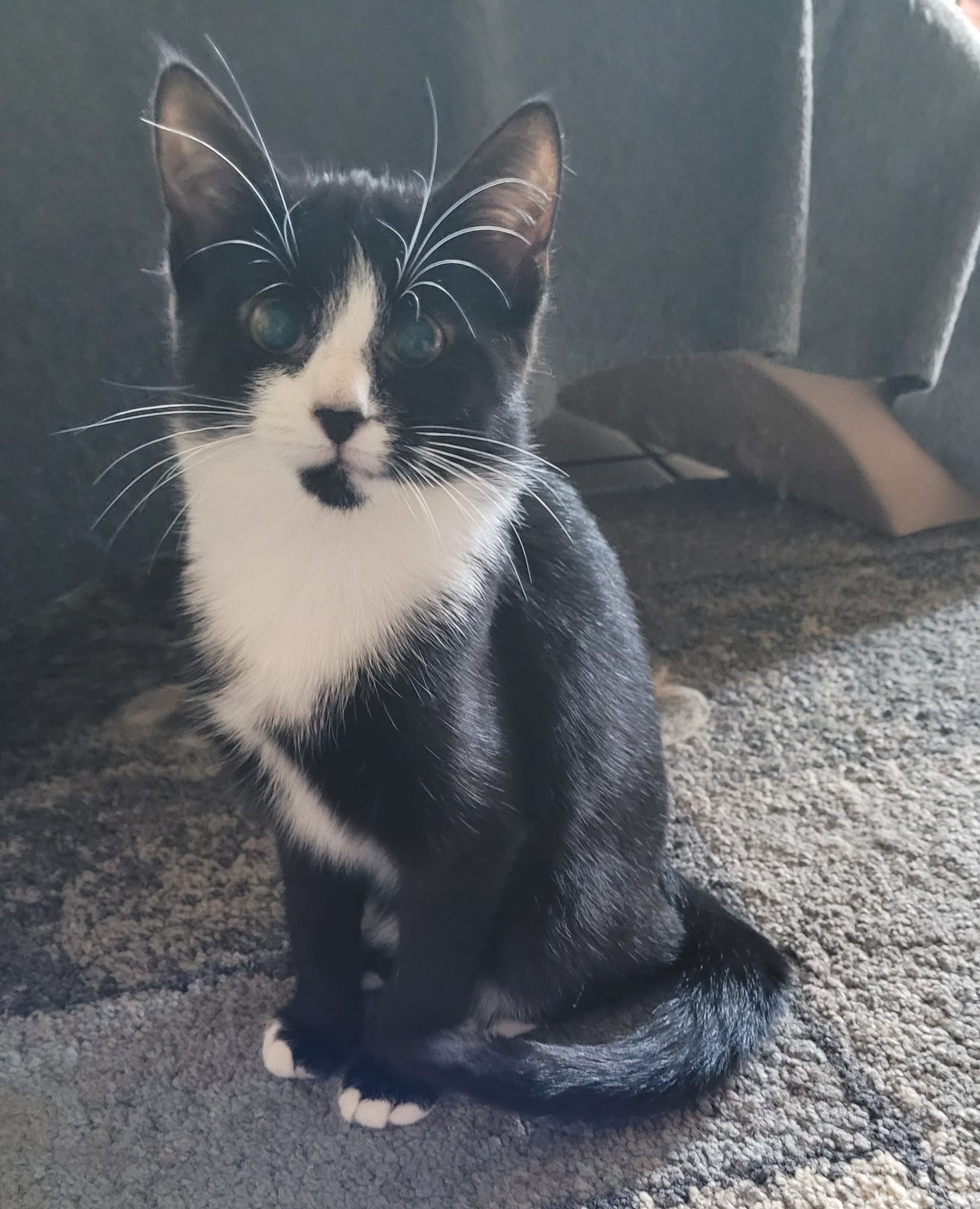 WhatsApp Image 2025-09-19 at 09.24.55(2)