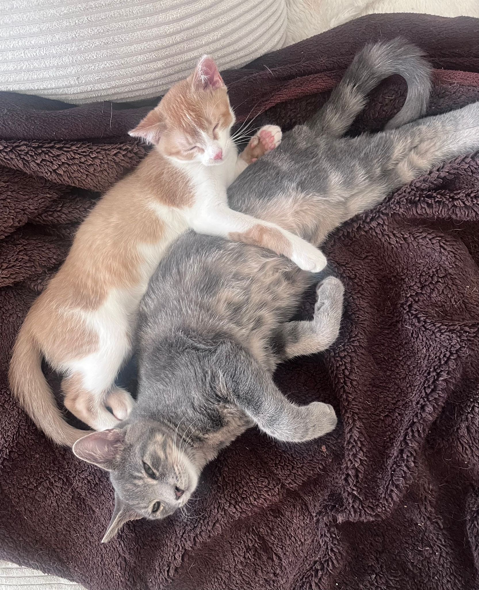 122486d7-3174-4615-a44c-dc5edd49a611