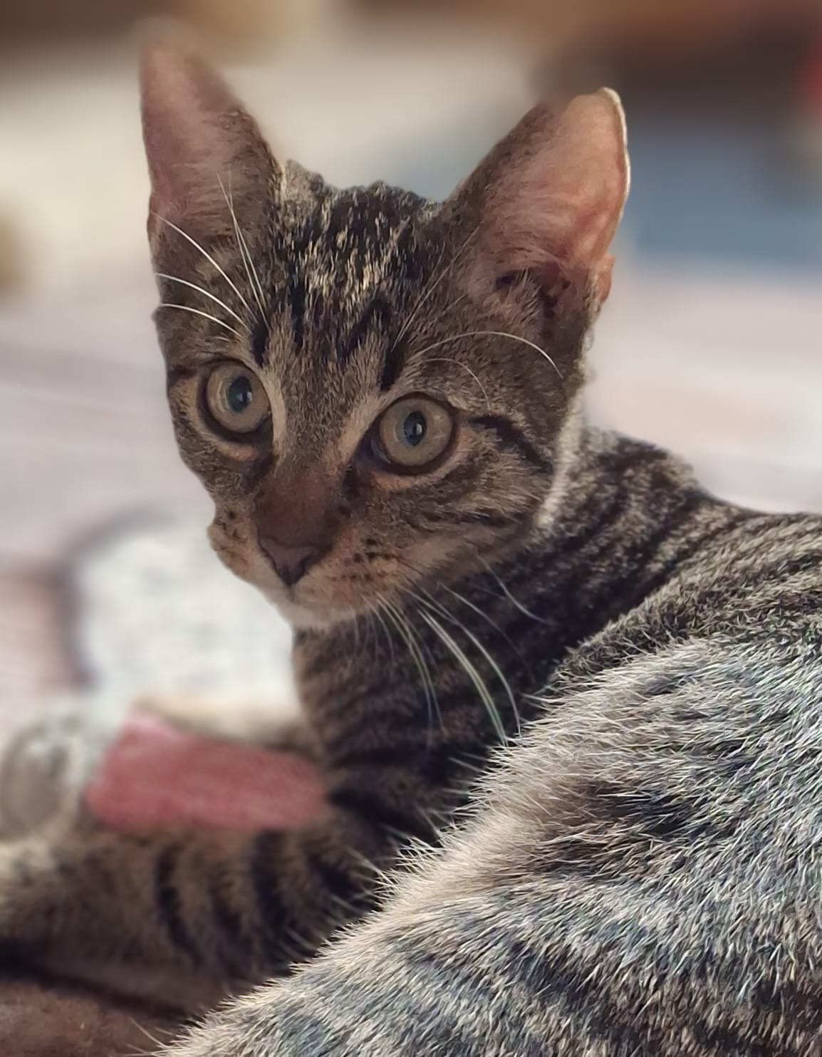 49506958-cee0-48ea-a49d-e91142316792