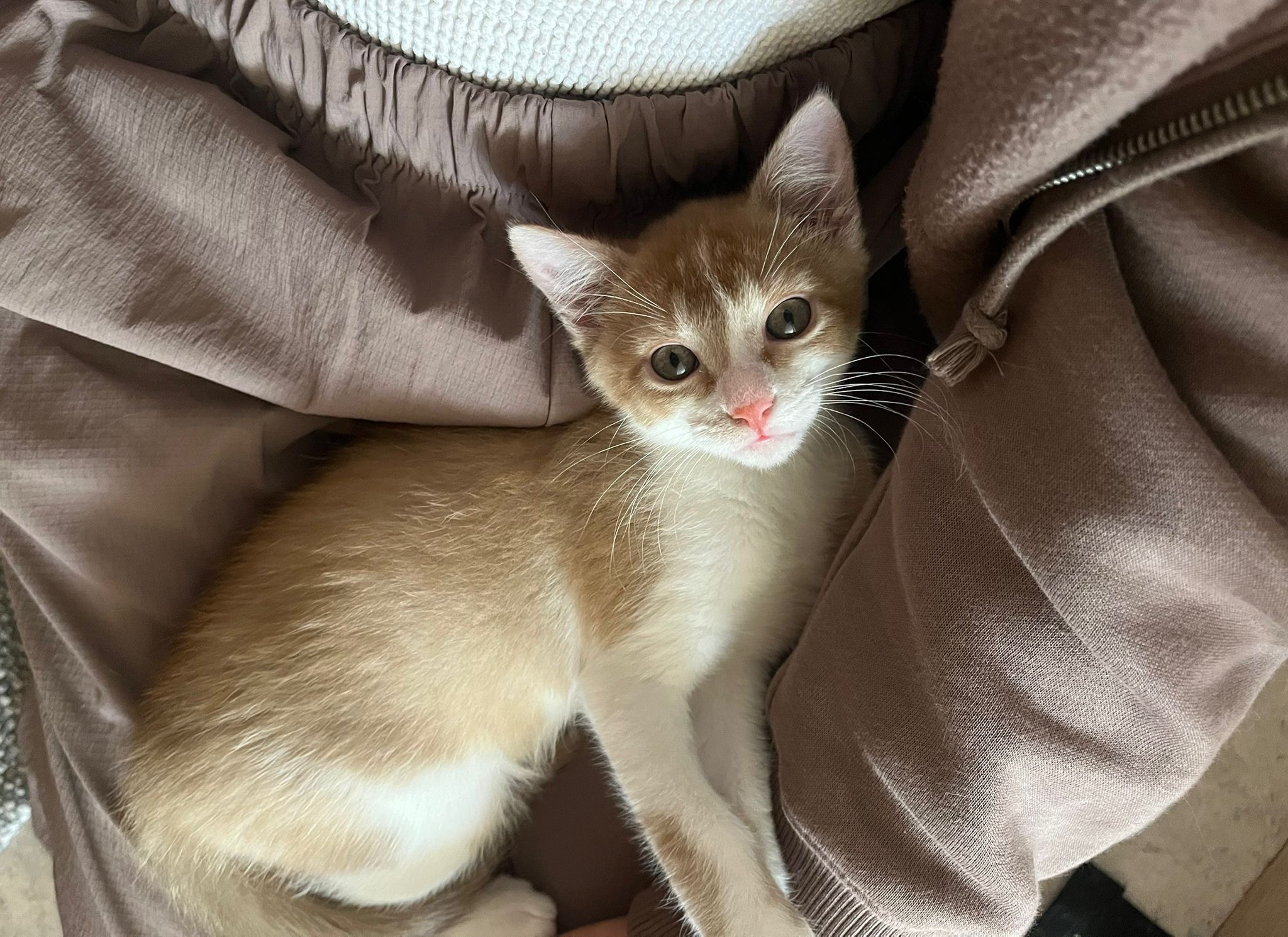 53a88954-4f53-46e0-9d6c-09434f5c4cab