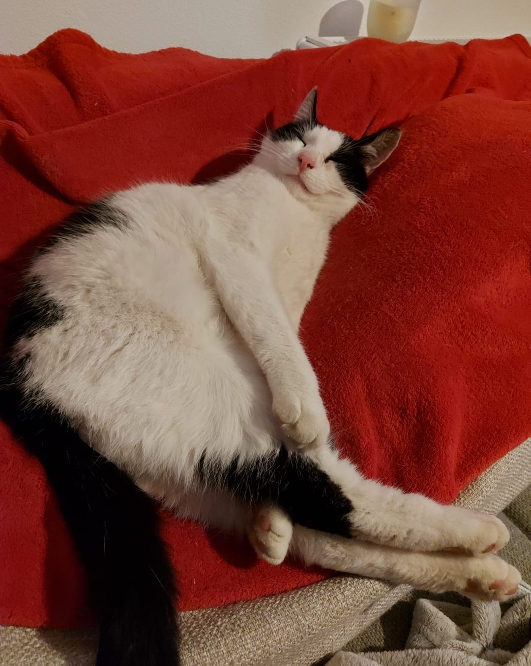 Screenshot_20251023_113539_WhatsApp