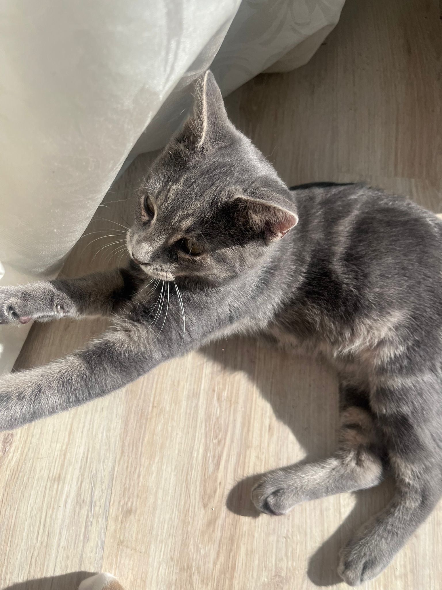 c993c68f-5d04-4d4b-b296-5e422af0ca29