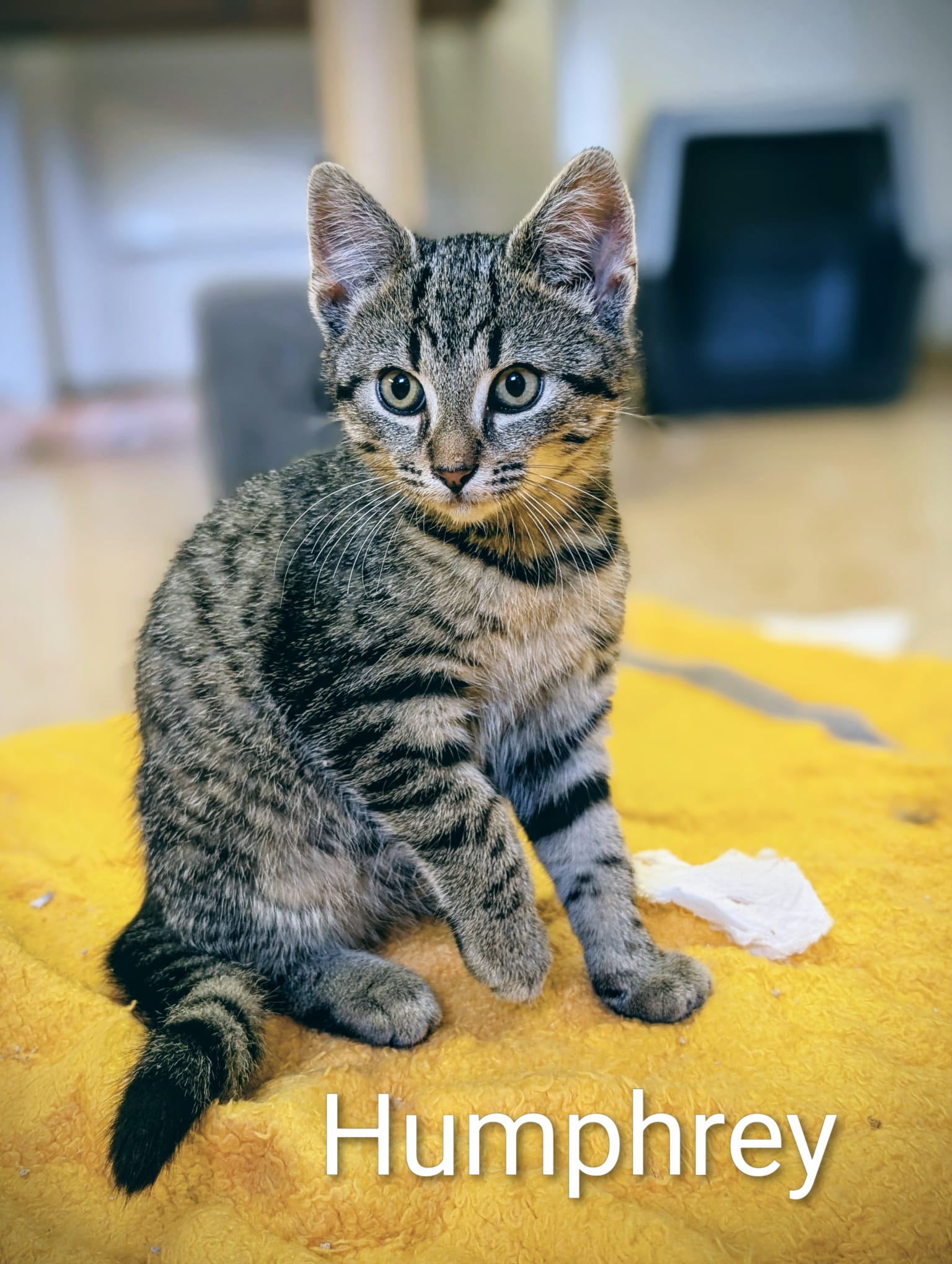 0ea85d19-e838-4612-bcdf-9c73de939d8c