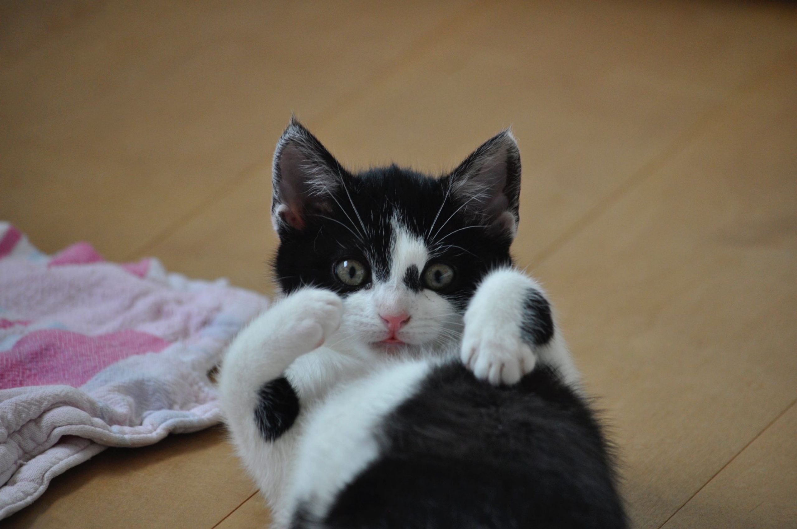 1ac498ca-5543-4e42-98a1-c3e10be25200