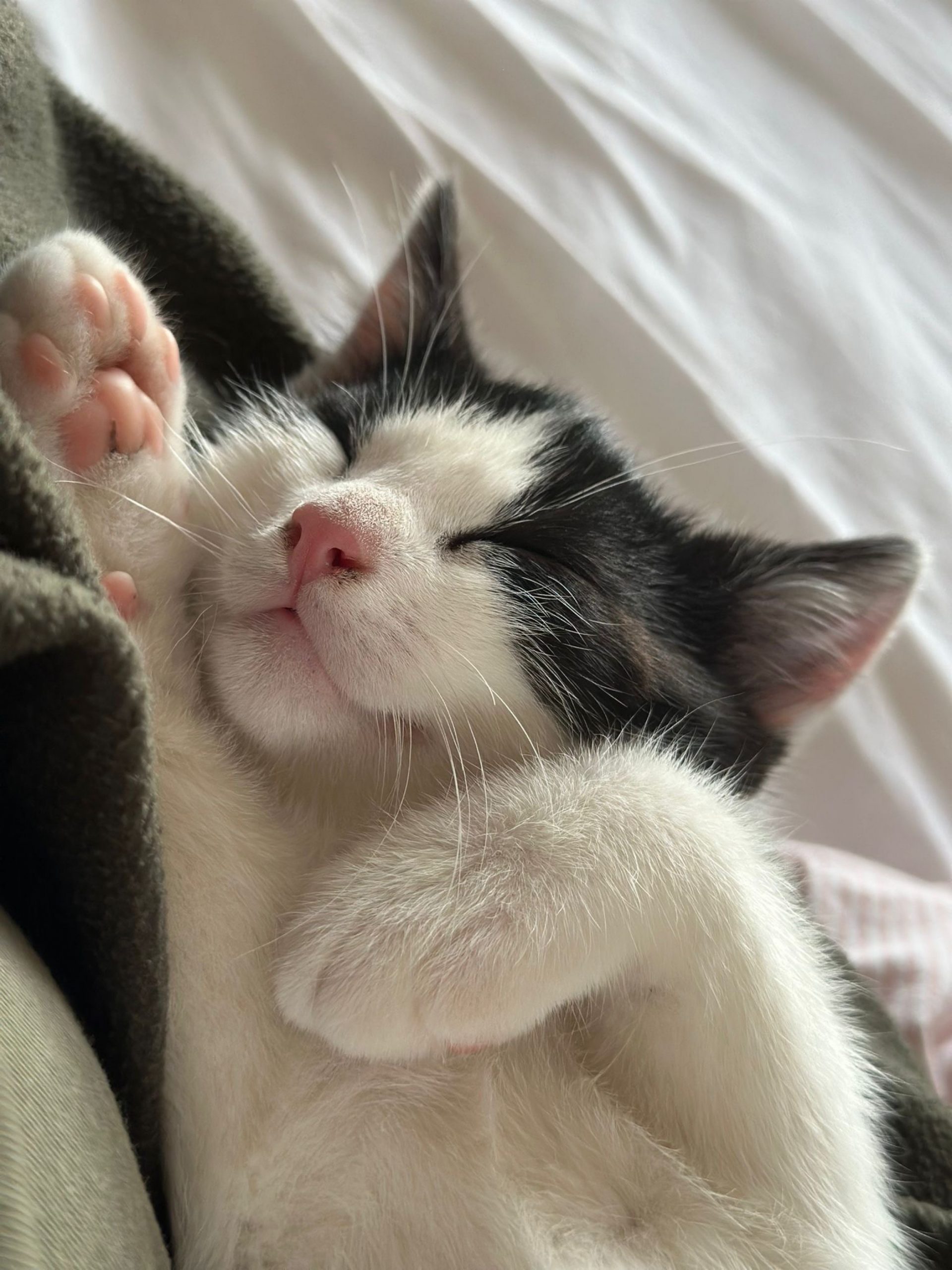 25e60fa7-1d90-49e2-9ddc-fdc4b8447700