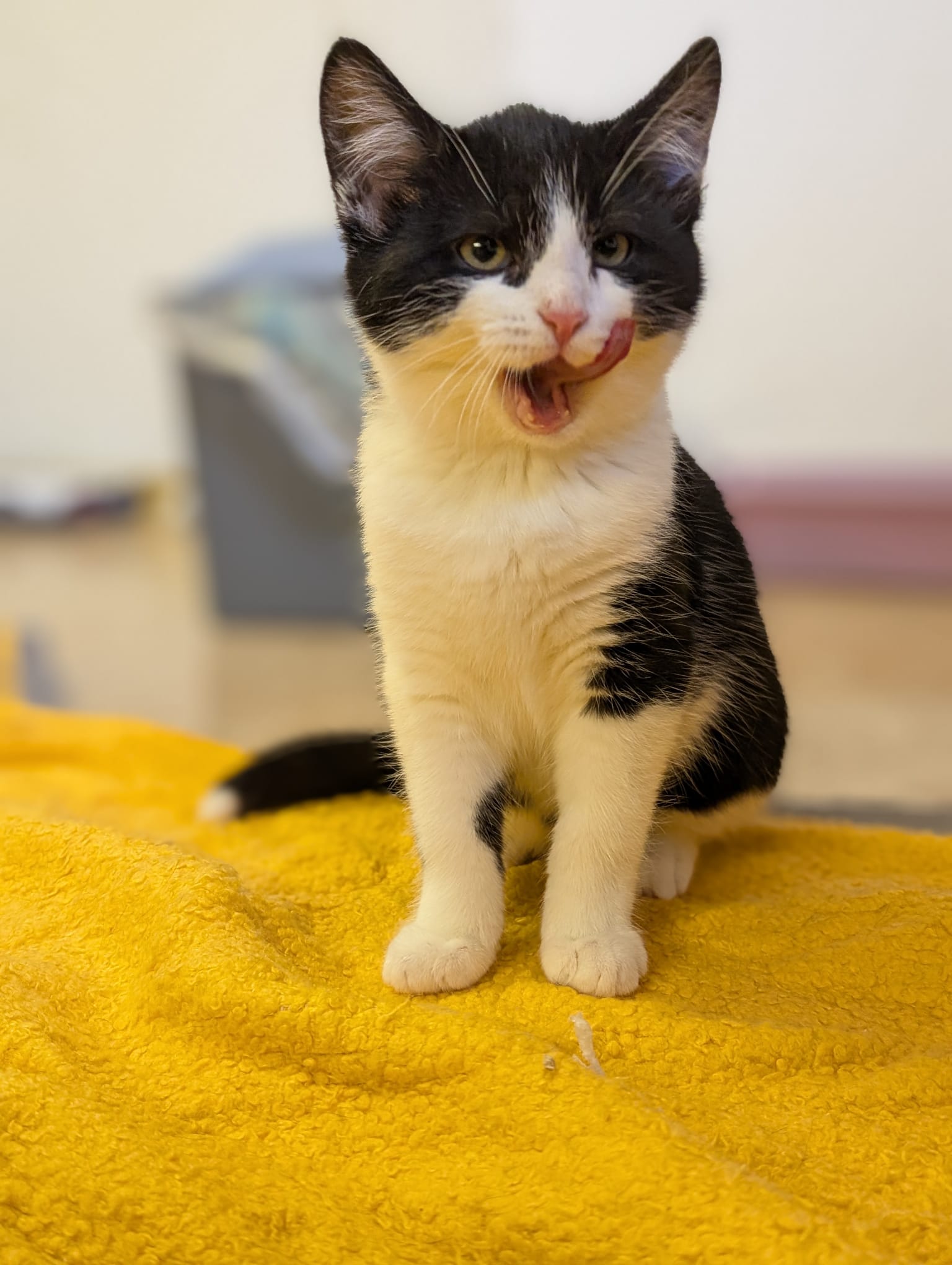 3845ca99-4570-465c-8551-37559e3e318a