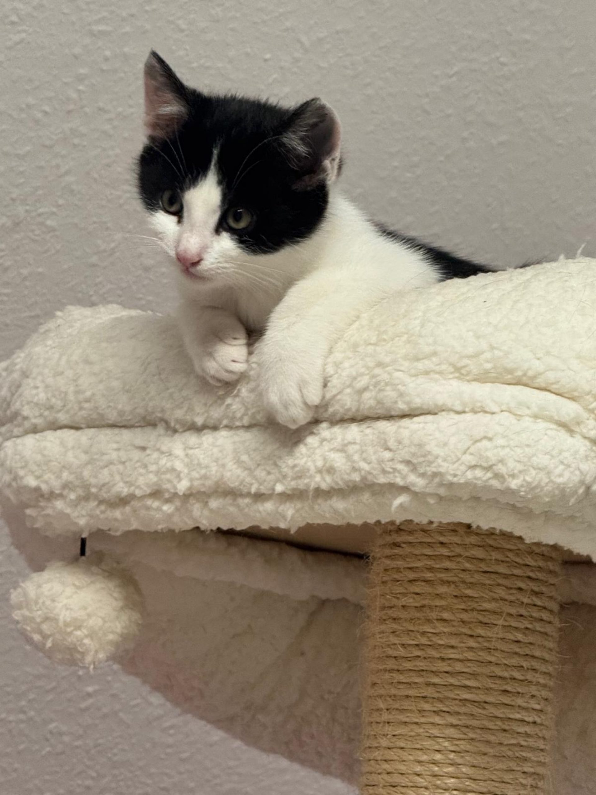 4c740b58-66d9-4bdf-9072-28aa7dc82a26