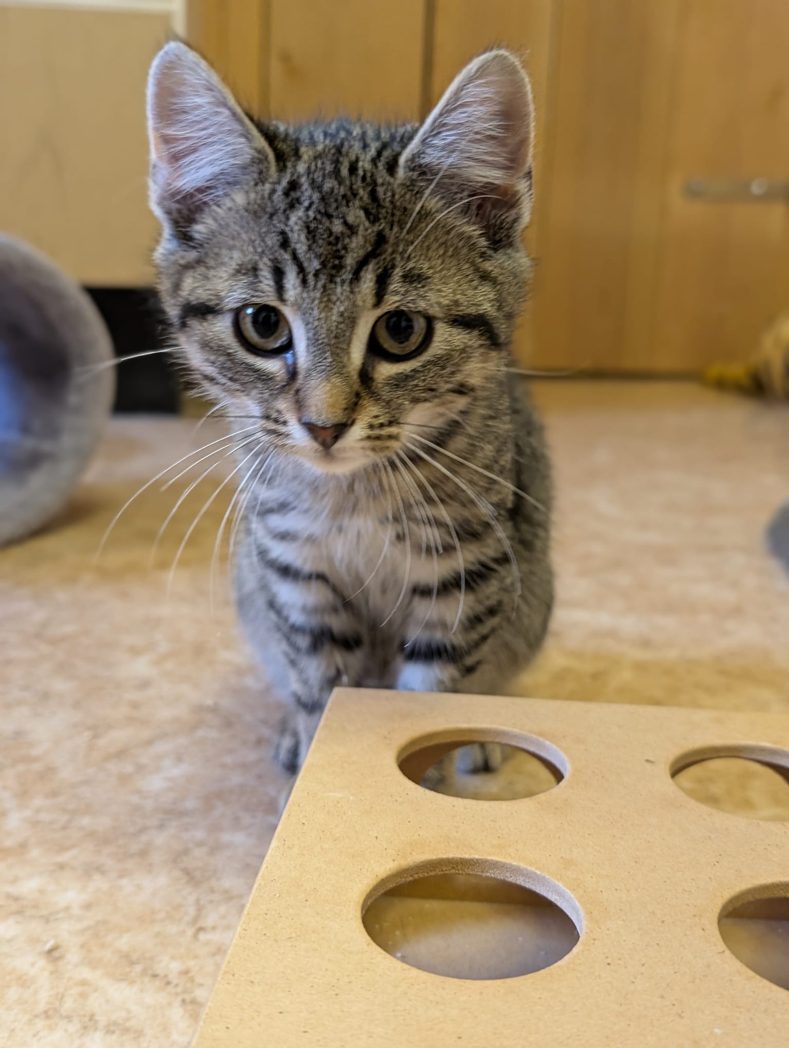 4ebe15ca-4e79-4b8d-99ec-196f4520ef34